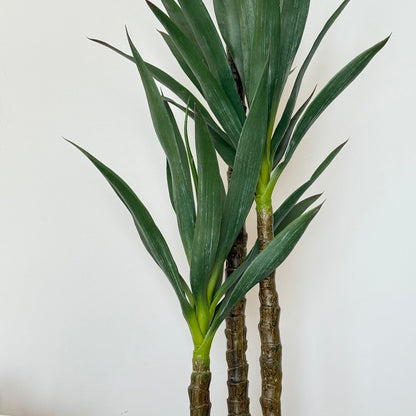 Yucca Elegance Artificial Plant