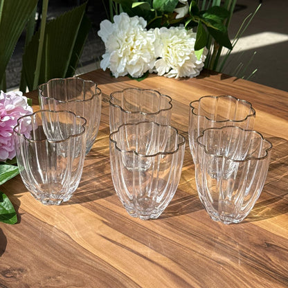 Golden & Silver Rim Crystal Glass Set