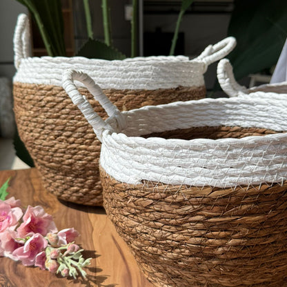Two-Tone Seagrass Baskets with Handles - Set Of 3