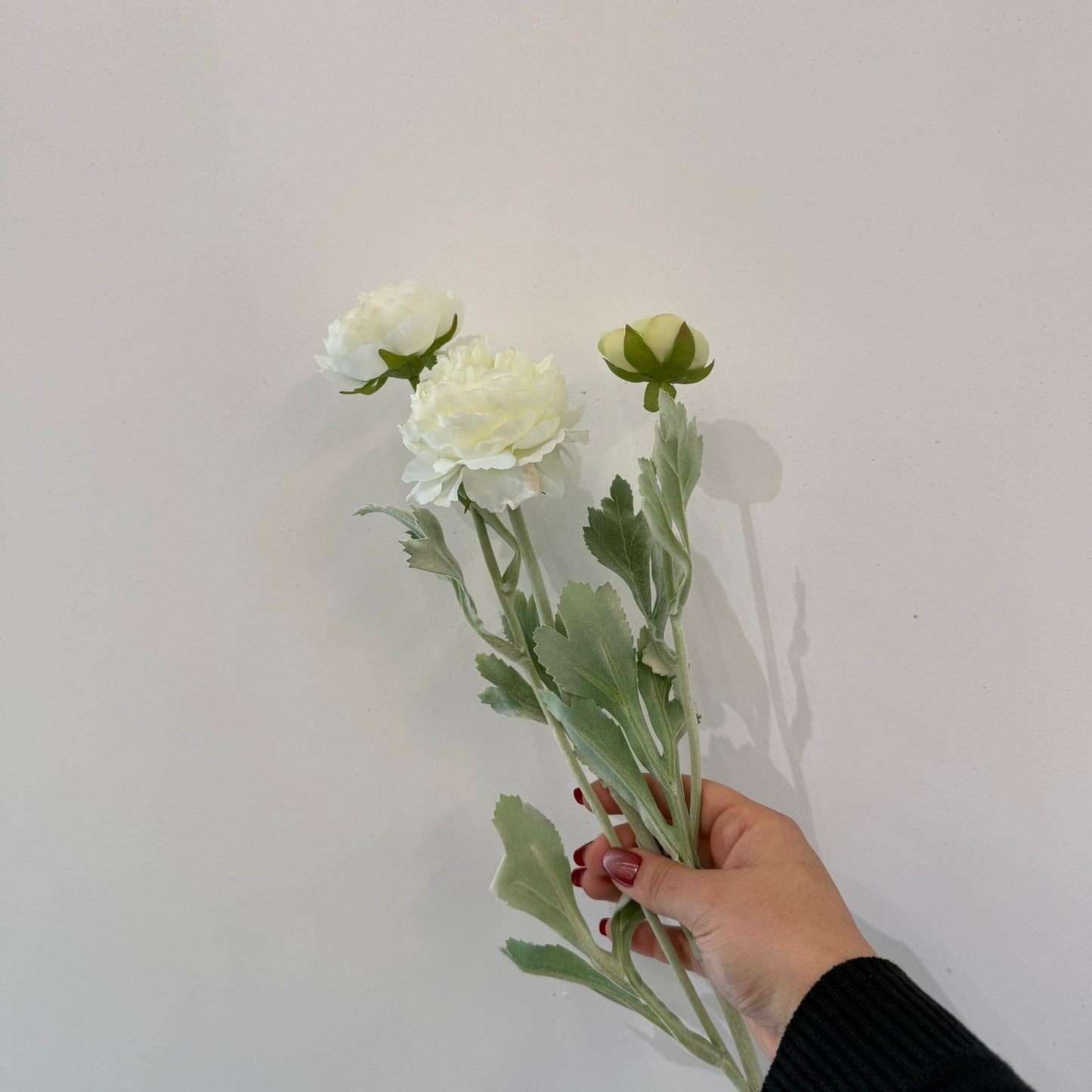 ألف زولو ليان - زهور زائفة