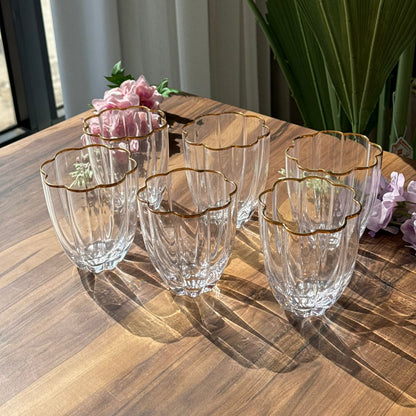 Golden & Silver Rim Crystal Glass Set