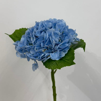 Hydrangea - False Flower