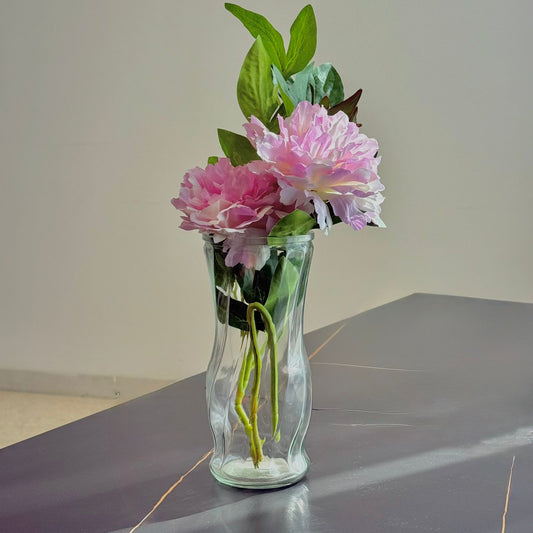 Modern Elegance – Glass Vase Collection
