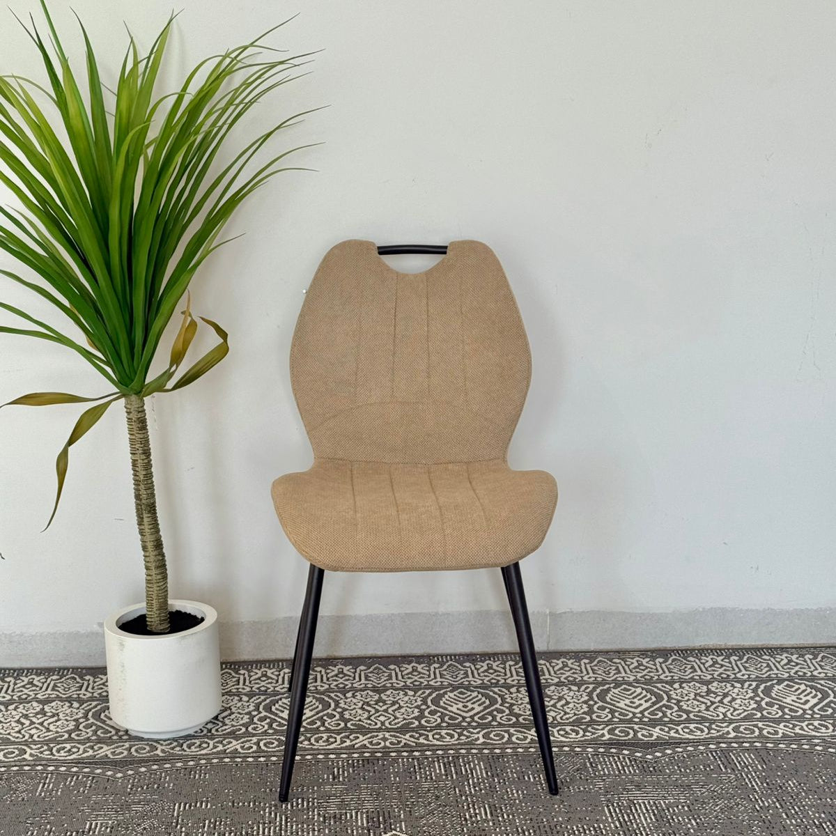Roza Modern Indoor Chair
