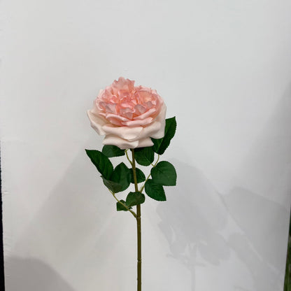 Everbloom Garden Rose Stem