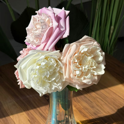 Everbloom Garden Rose Stem