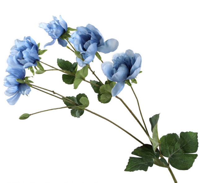 Tree Peony - False Flowers