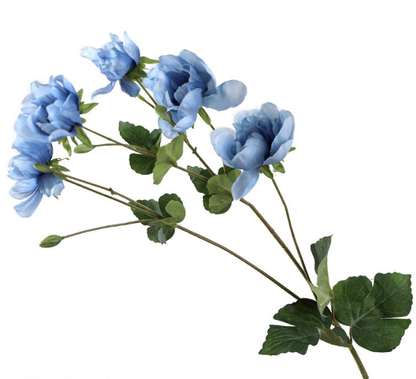 Tree Peony - False Flowers