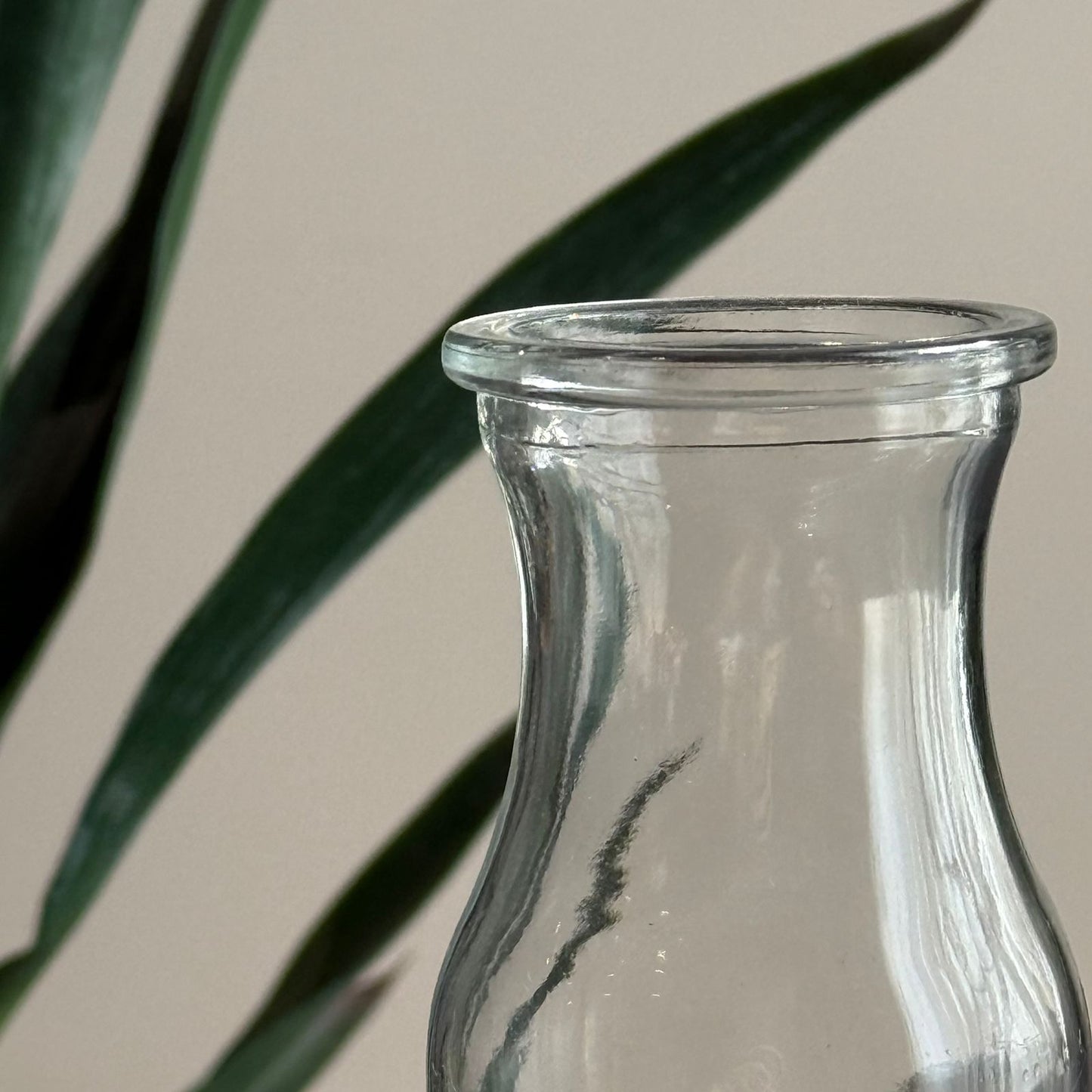 Elegant Clear Glass Vase