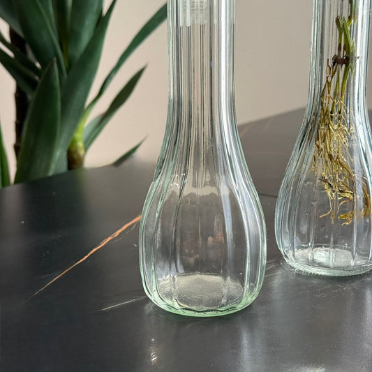 Modern Clear Glass Vase