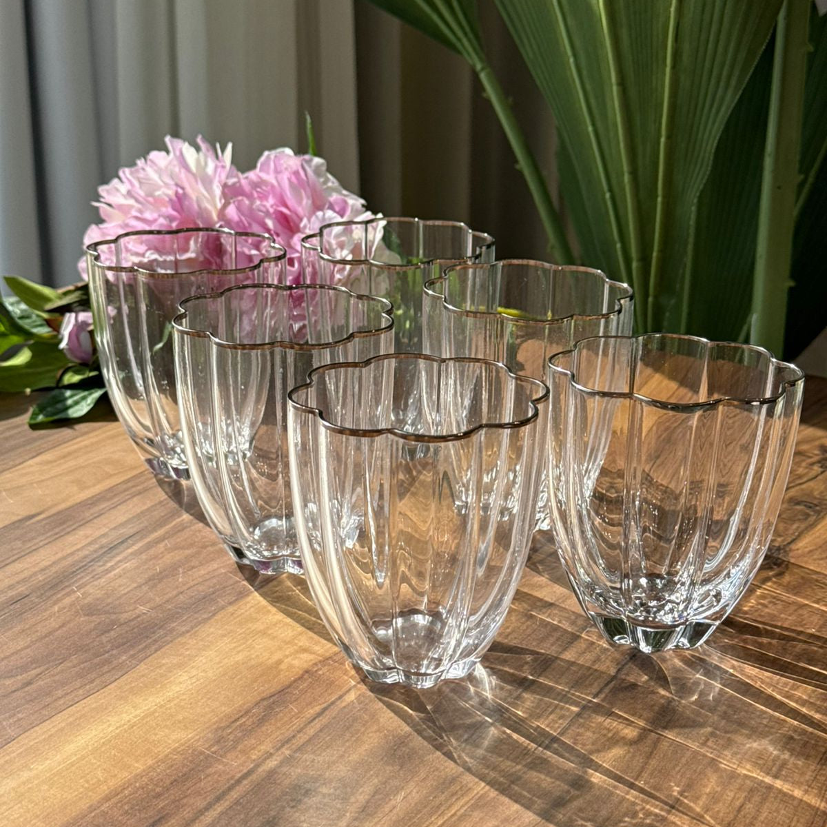 Golden & Silver Rim Crystal Glass Set