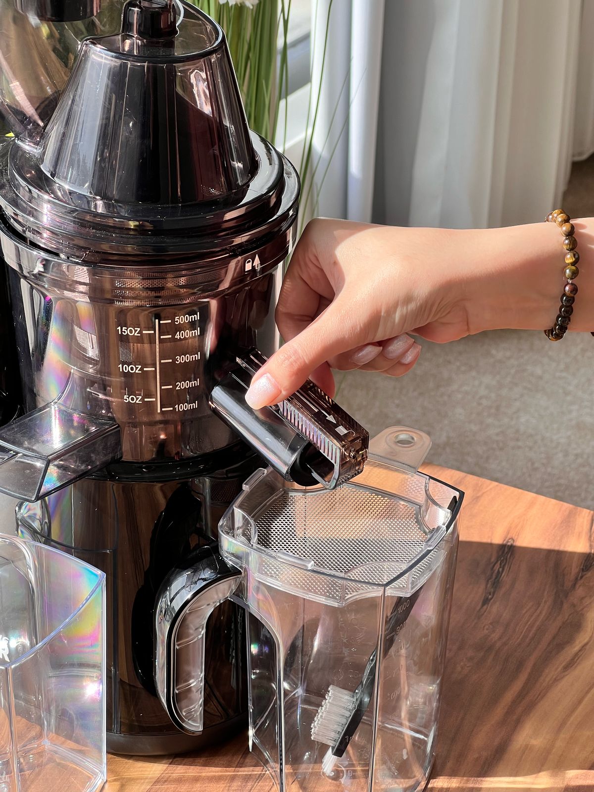 Powerful Press Juicer