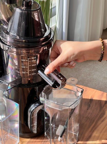 Powerful Press Juicer