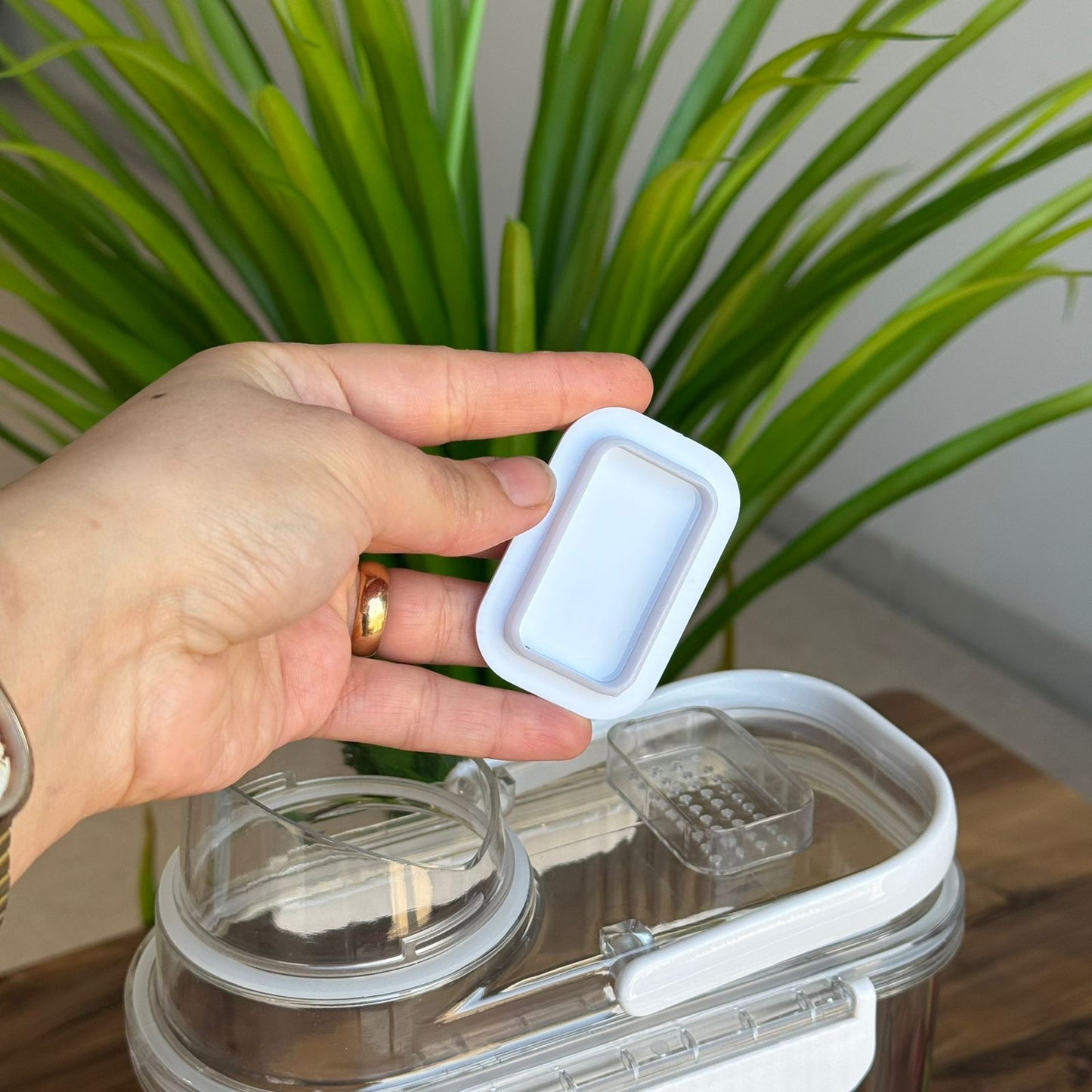 Storage Food Box With Measuring Cup