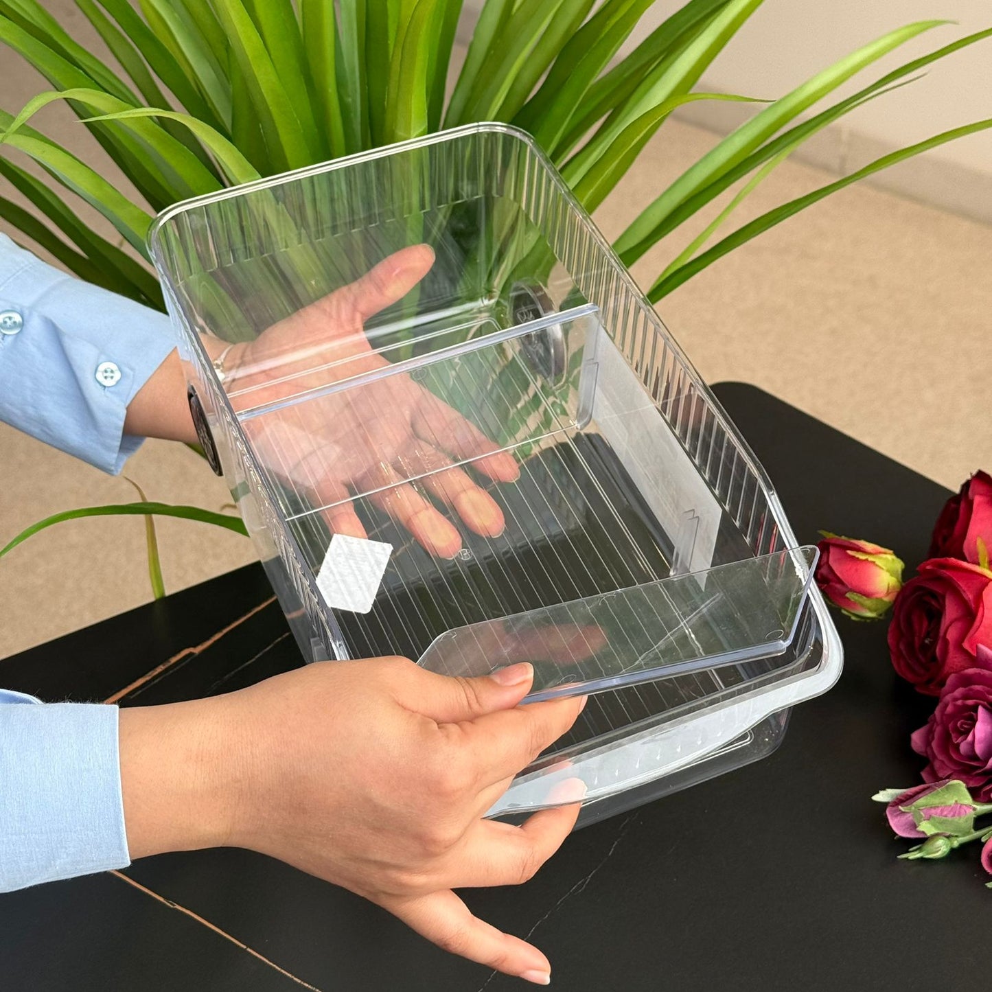 Clear Multi-Section Storage Organizer Box