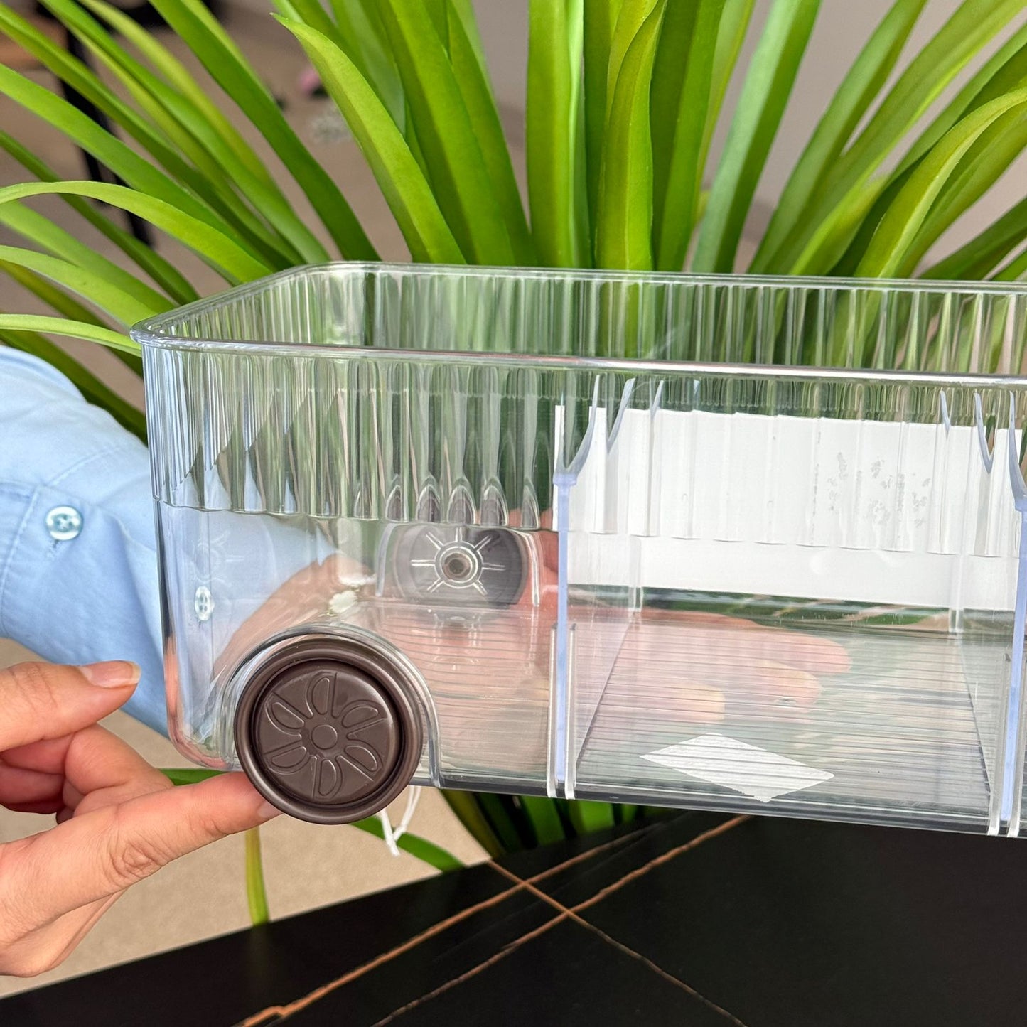 Clear Multi-Section Storage Organizer Box