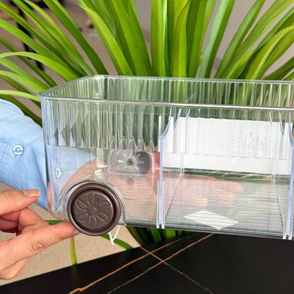 Clear Multi-Section Storage Organizer Box