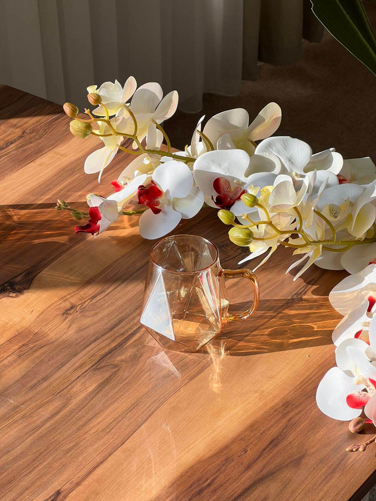 Transparent Bronze Diamond Pattern Glass Mug - Set Of 6