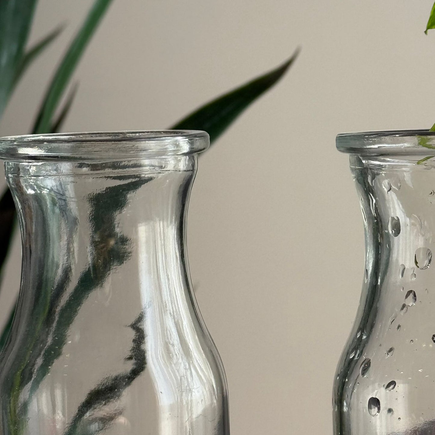 Elegant Clear Glass Vase