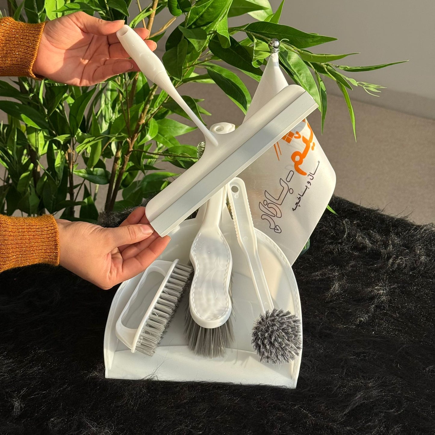 All-in-One Dustpan and Brush Set