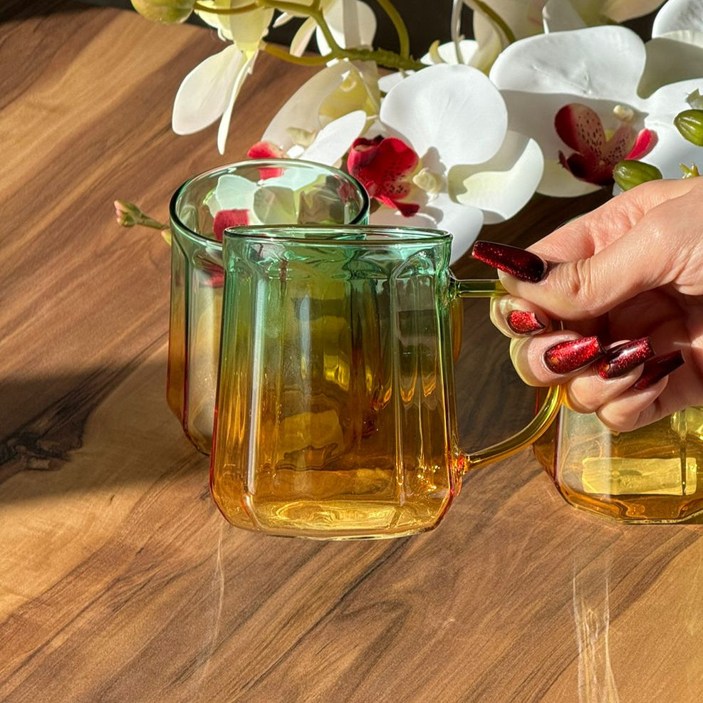 Set Of Trasparent Coffee Glass Mug with Handle