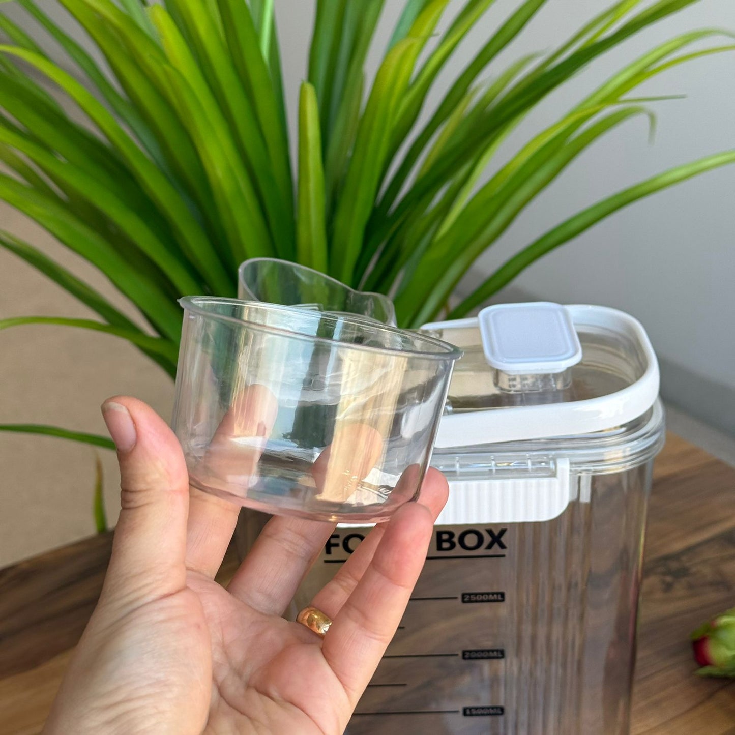 Storage Food Box With Measuring Cup