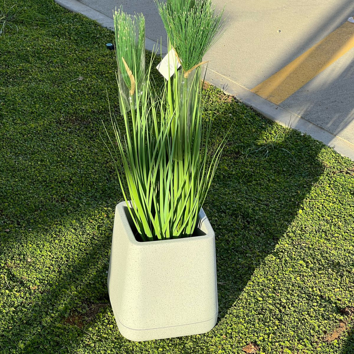 Indoor/Outdoor Modern Plant Pot