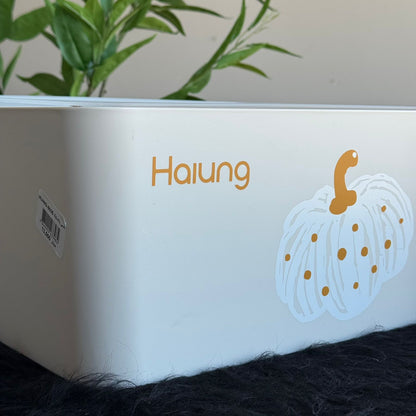 Multi-Purpose Storage Boxes -2-Sizes