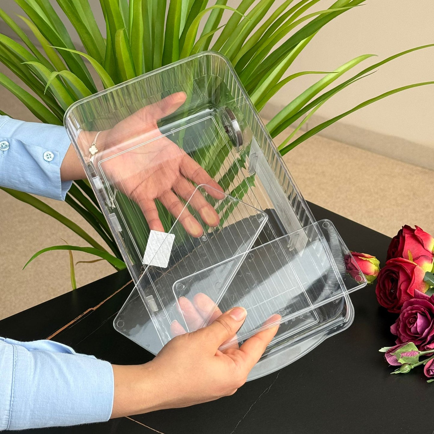 Clear Multi-Section Storage Organizer Box