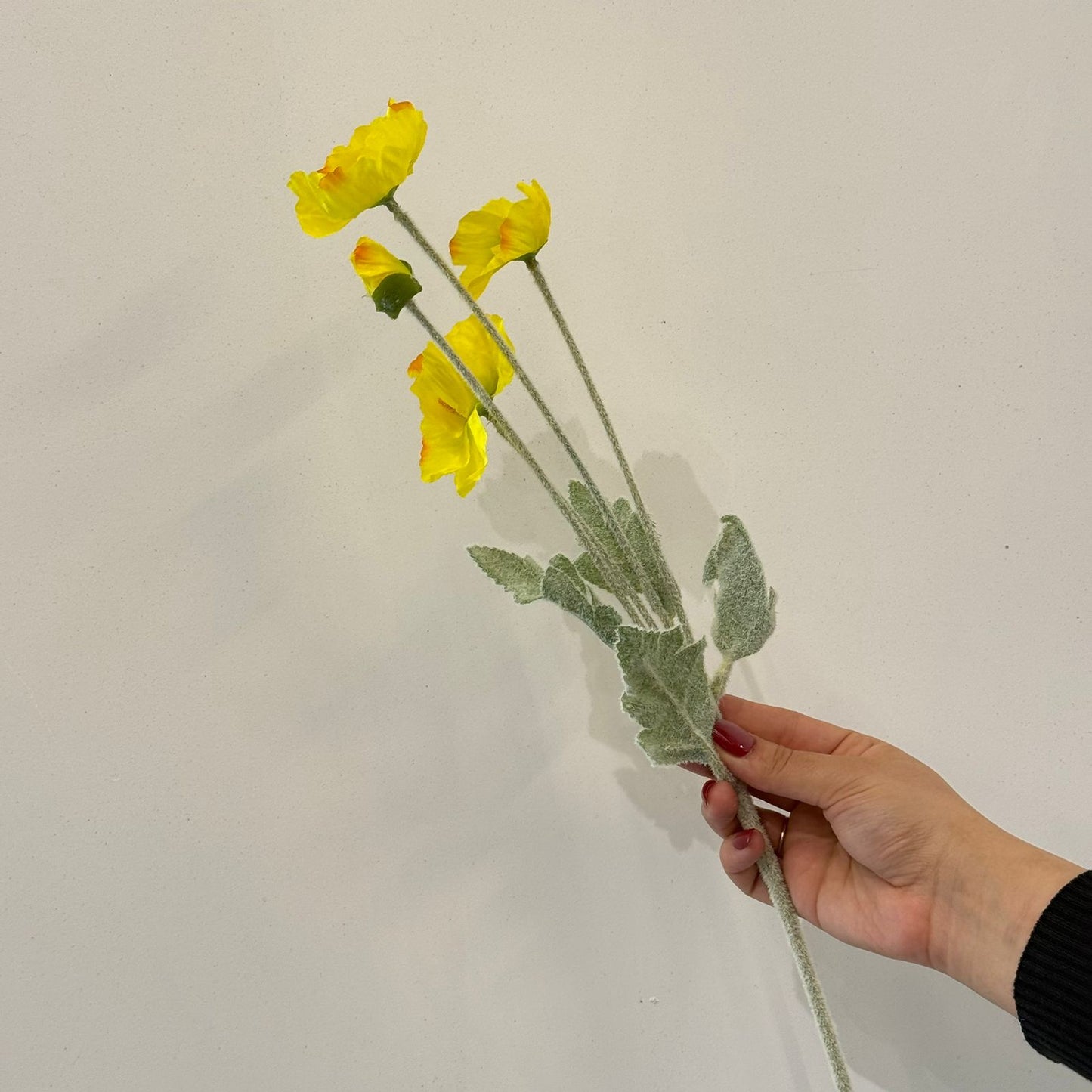 پۆپی ئایسلەندا – گوڵی دەستکرد