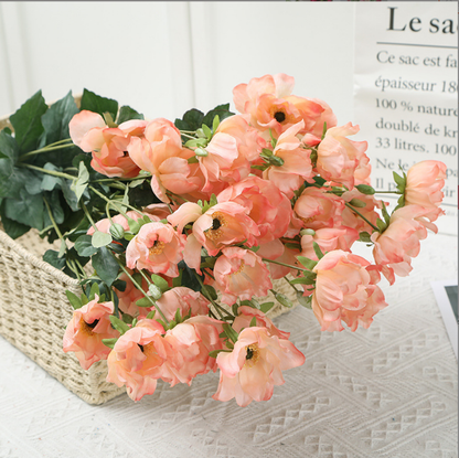 Tree Peony - False Flowers