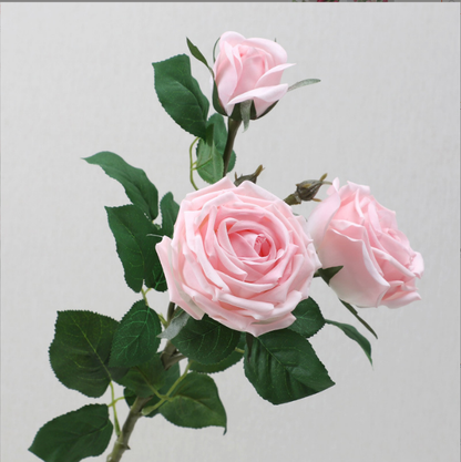 Sweet Heart Rose - False Flowers