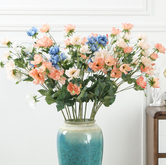 Tree Peony - False Flowers