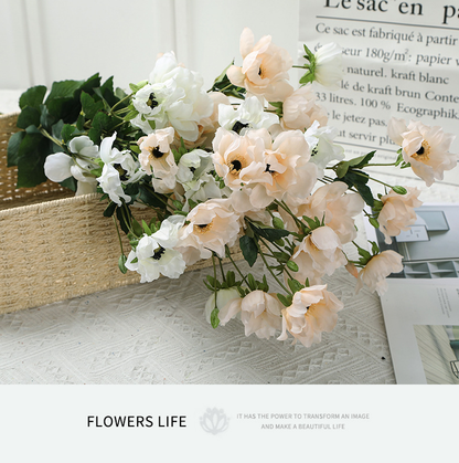 Tree Peony - False Flowers