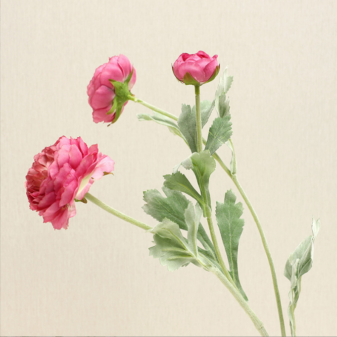 ألف زولو ليان - زهور زائفة