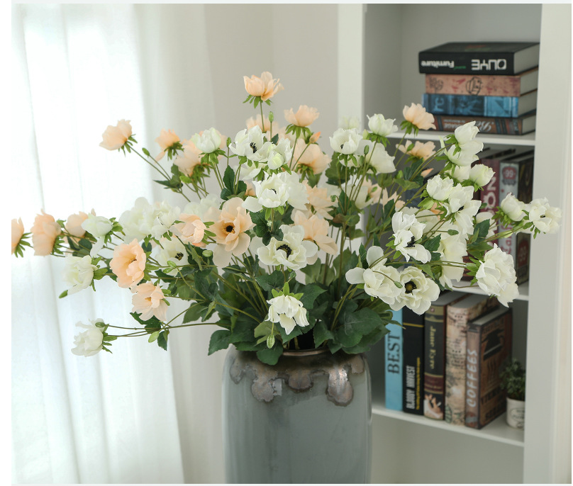 Tree Peony - False Flowers