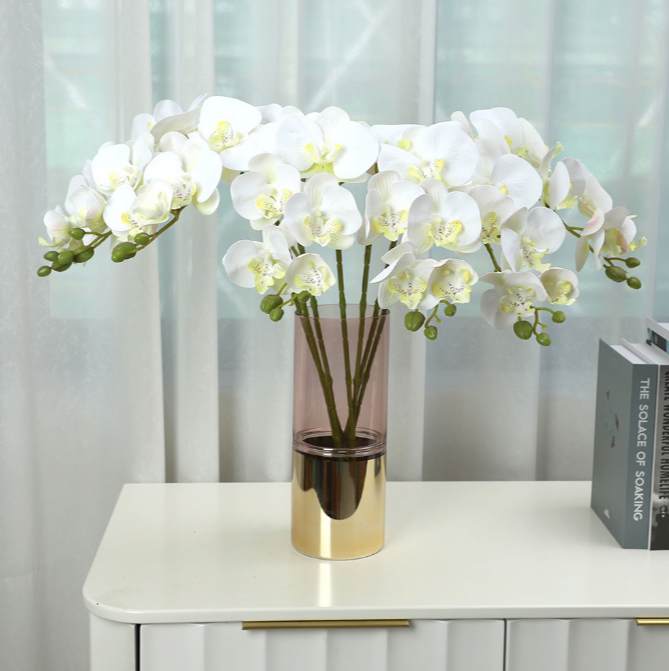 Phalaenopsis - False Flowers