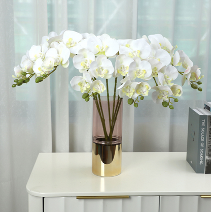 Phalaenopsis - False Flowers