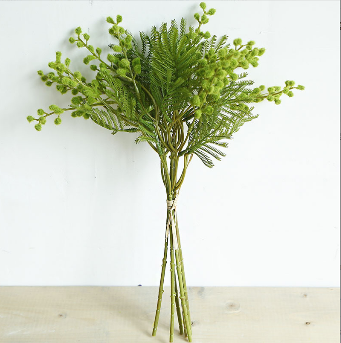 Plant Hair Acacia Beans - False Flowers