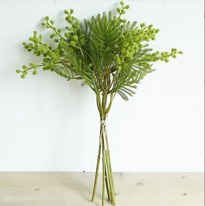 Plant Hair Acacia Beans - False Flowers