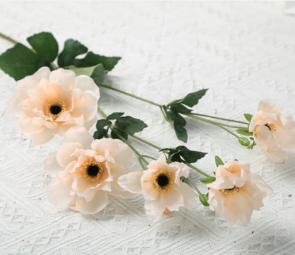 Tree Peony - False Flowers