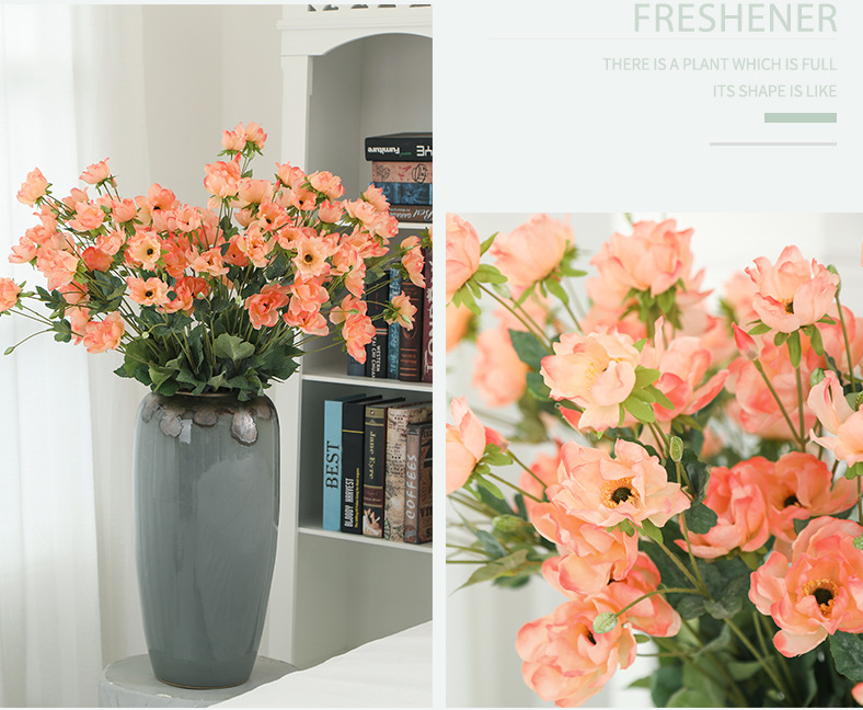 Tree Peony - False Flowers