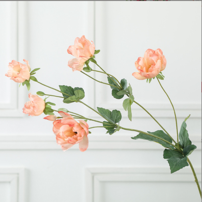 Tree Peony - False Flowers