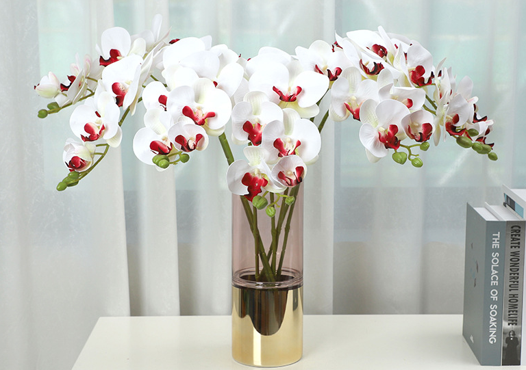 Phalaenopsis - False Flowers
