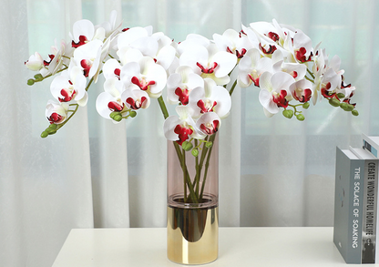 Phalaenopsis - False Flowers