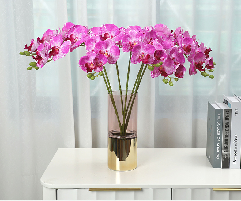 Phalaenopsis - False Flowers