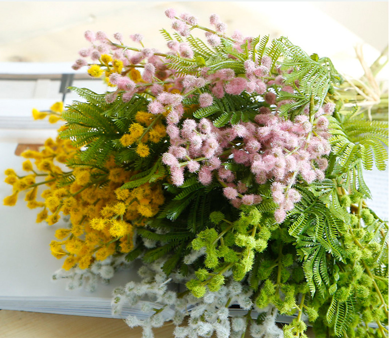 Plant Hair Acacia Beans - False Flowers