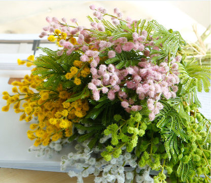 Plant Hair Acacia Beans - False Flowers