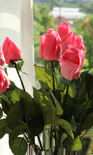 Roses - Roses Before Bloom