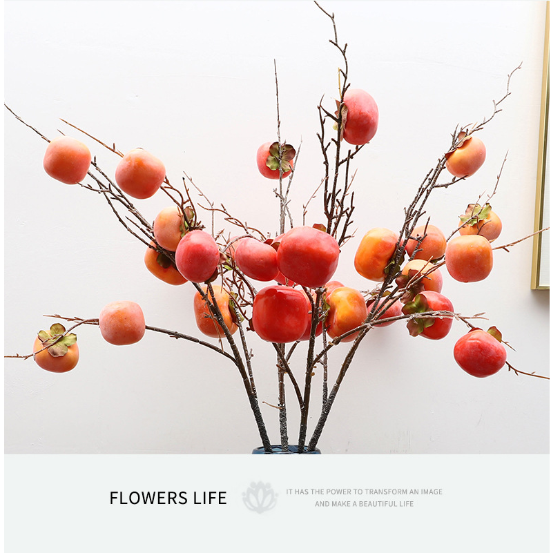 Fruit Flat Persimmon Branch - False Fruit